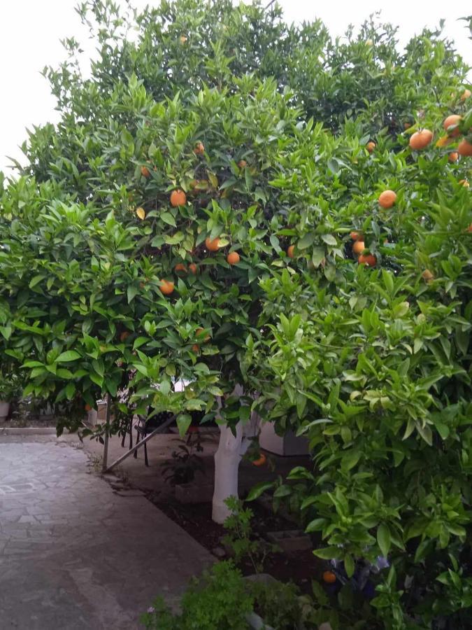 Margaritas Cottage Nafplio Ngoại thất bức ảnh